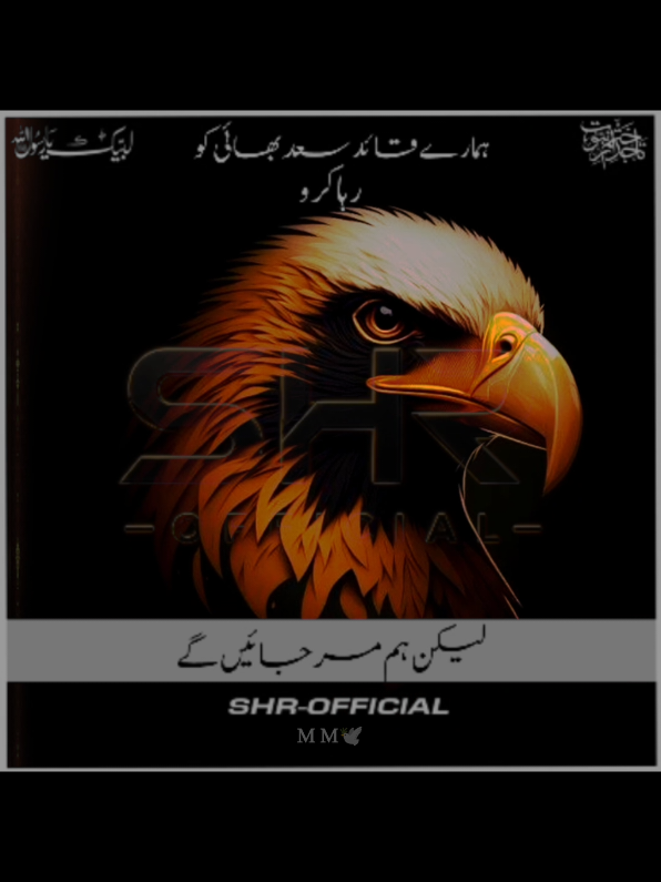 @SHR - OFFICIAL