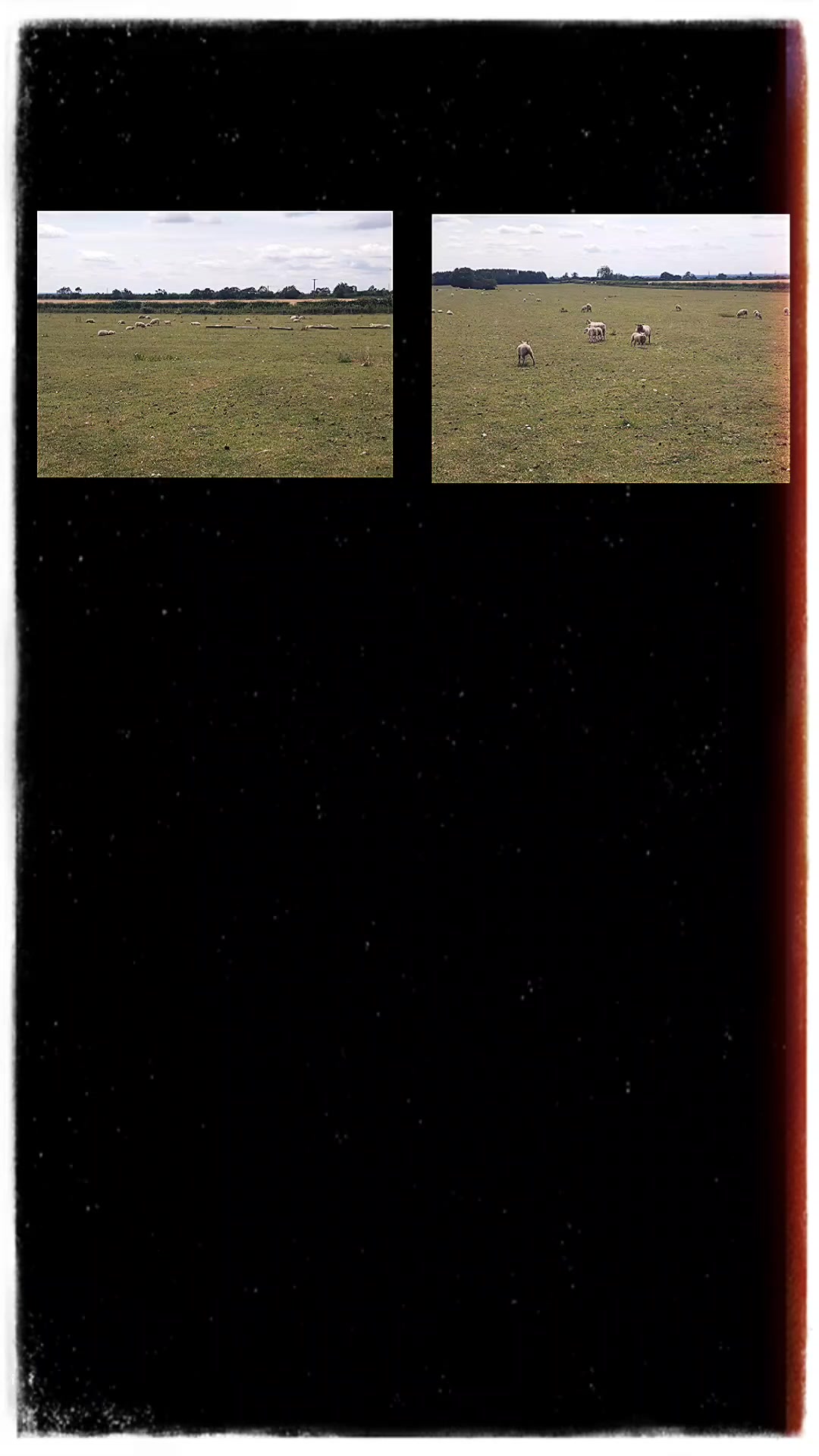 @✮⃝ 𝕮𝖆𝖒𝖊𝖗on𝕵𝖆𝖒𝖊𝖘🦋