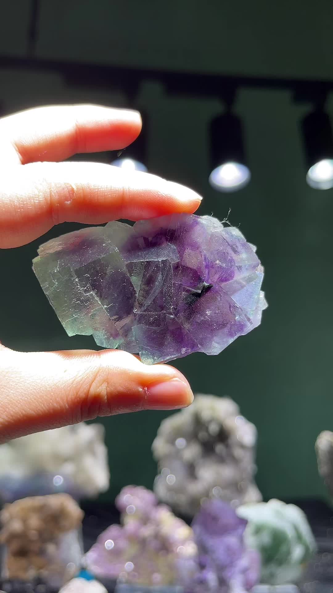 @Meiji crystal shop