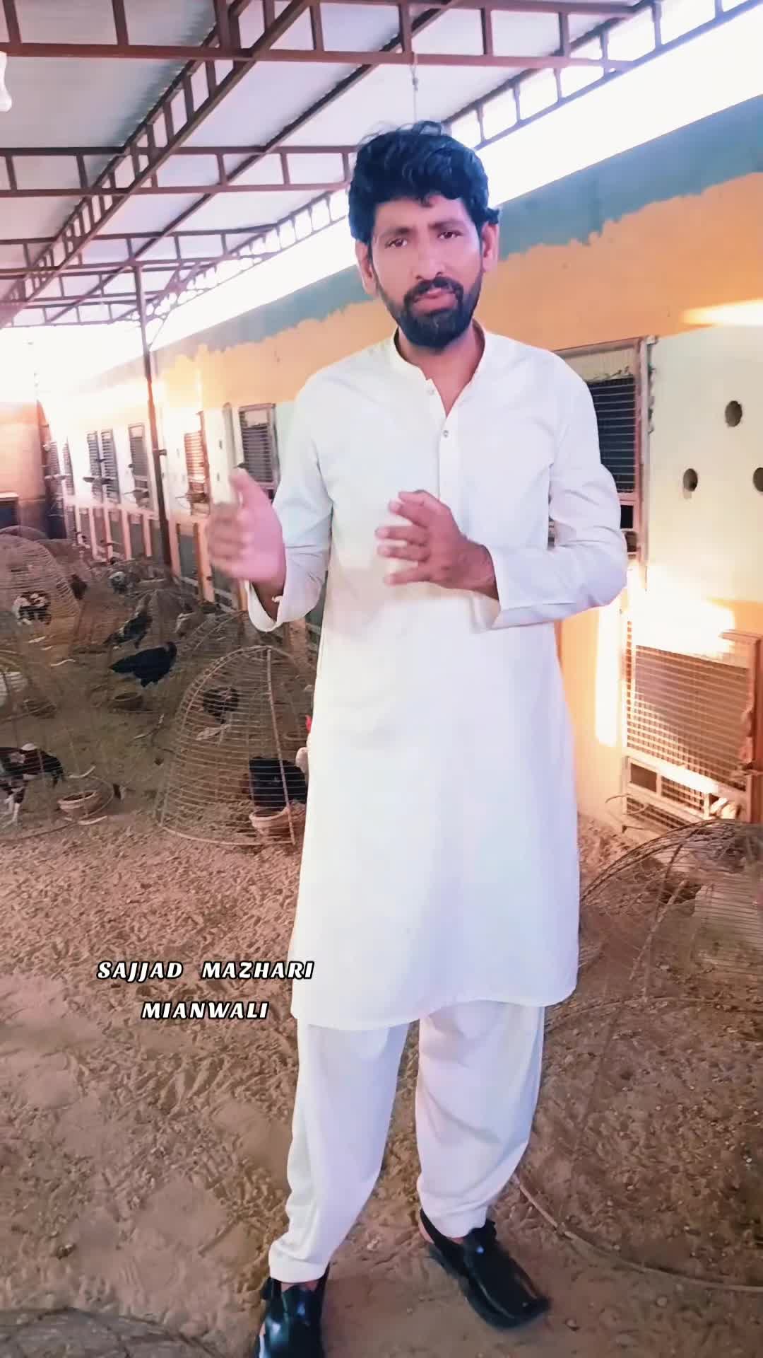 @Sajjad Aseel Farm
