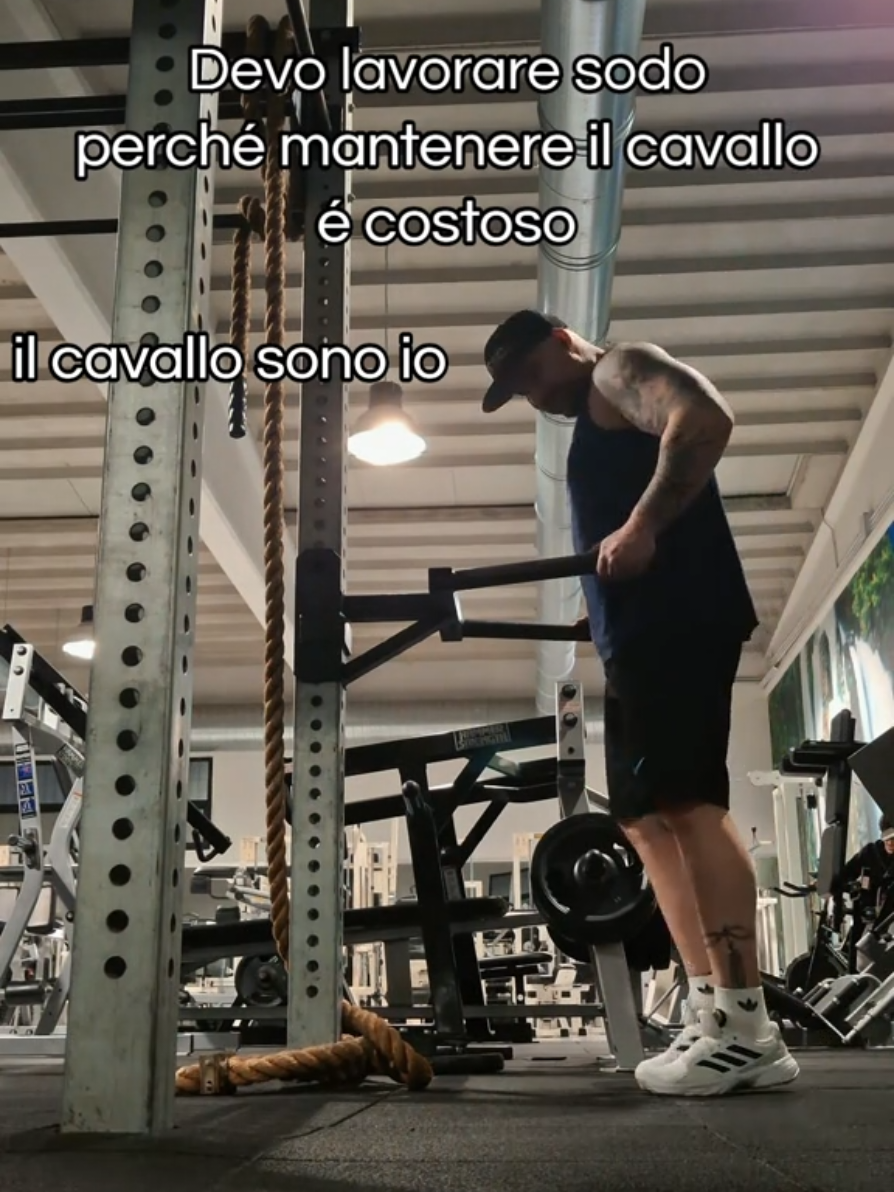 @FRA 🦍