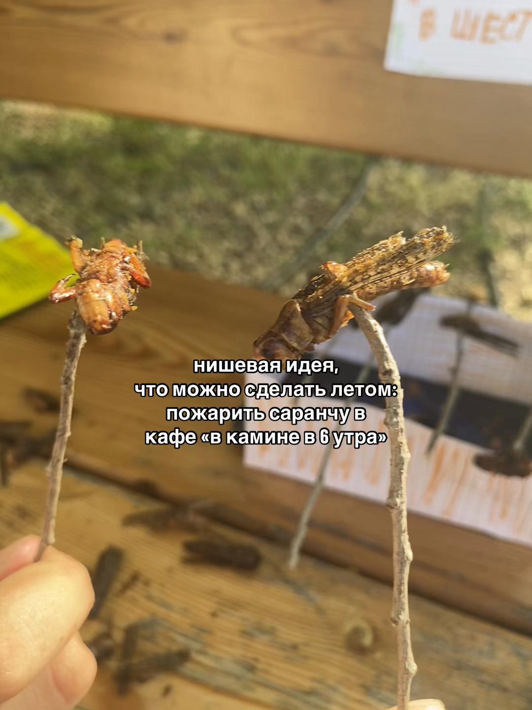 @𝓇𝒾𝓃𝓍🪽