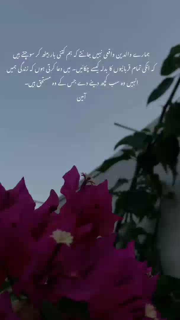 @Iqra nadeem