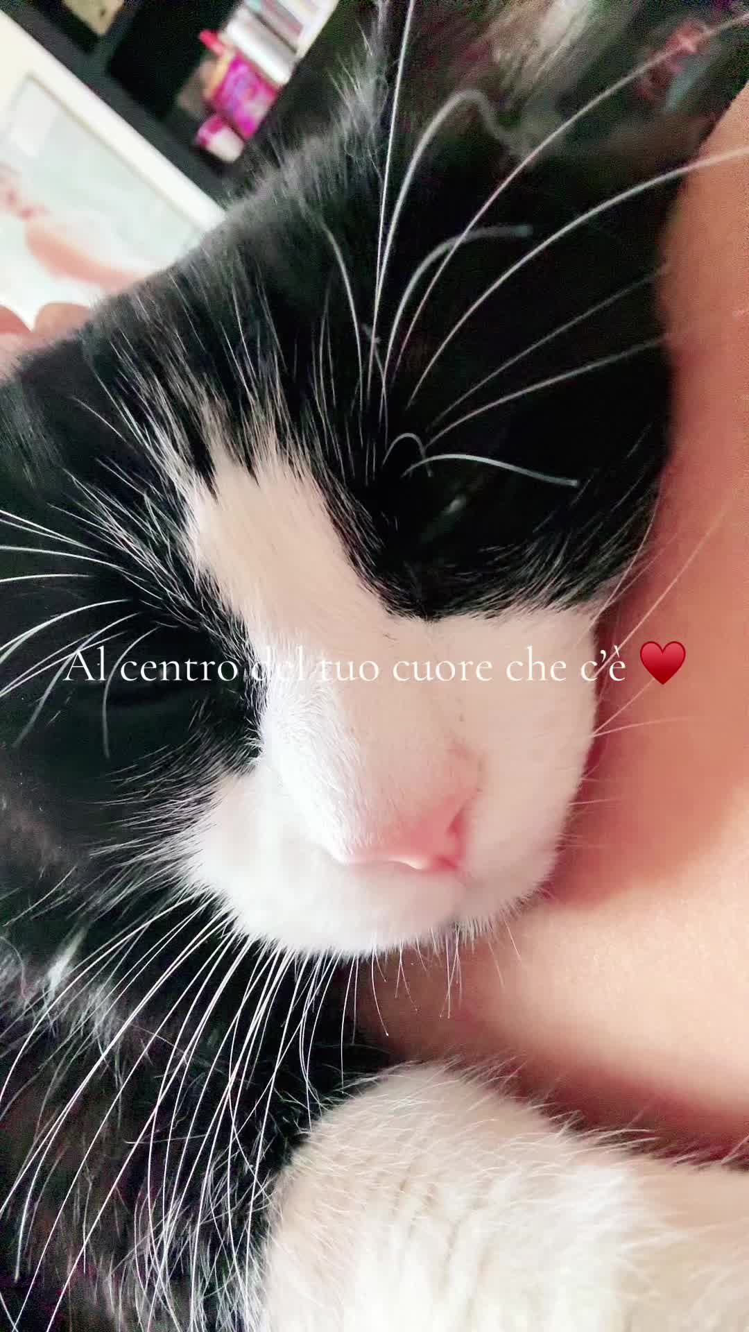 @Valentina