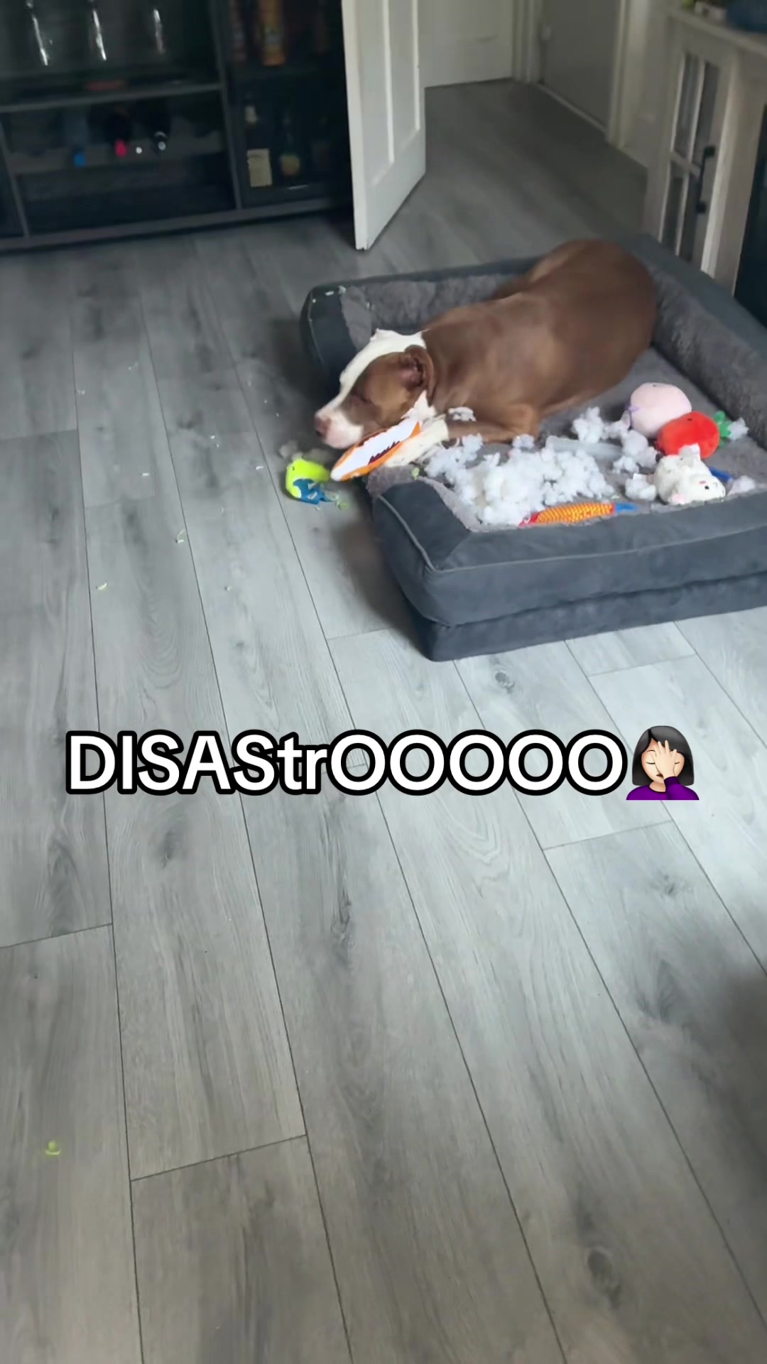 @Emanuela & Pablo