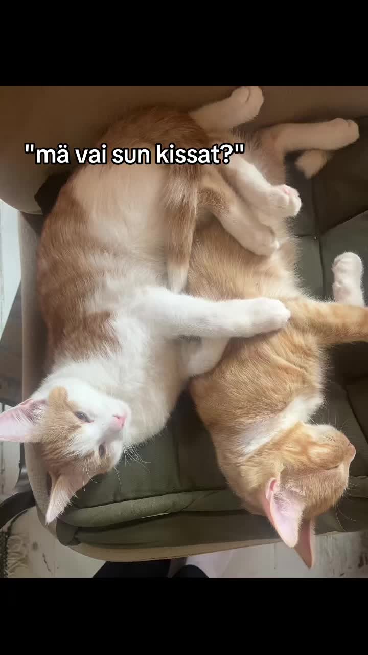@villmmartt