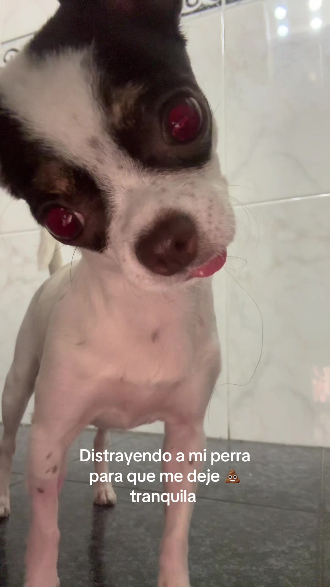 @Sara