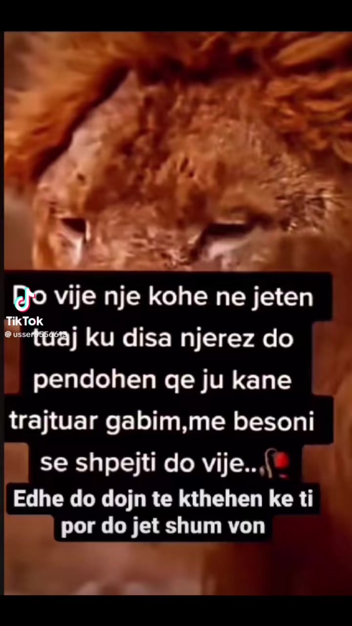 @Ermira Dema🫶🏻🫶🏻
