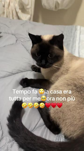 @🦋Eugenia Elekes🦋