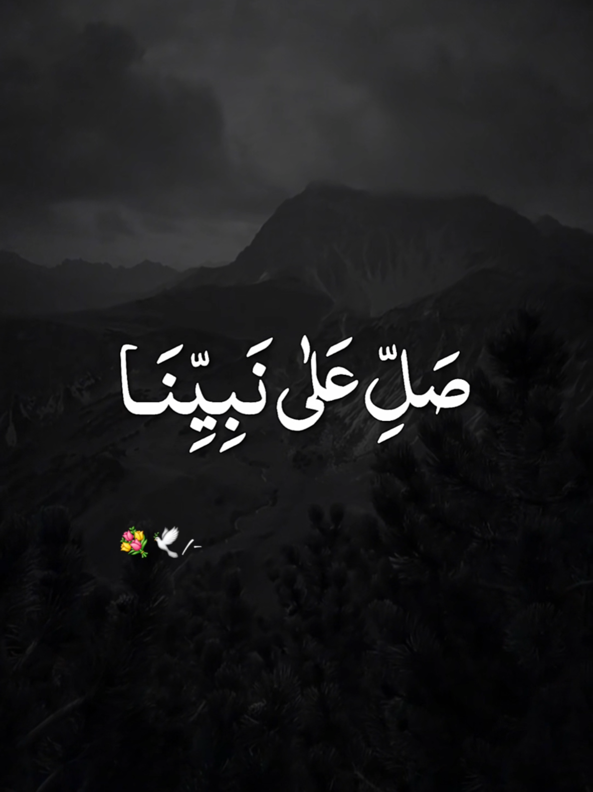 @SufiVibes UK🇬🇧🇵🇰