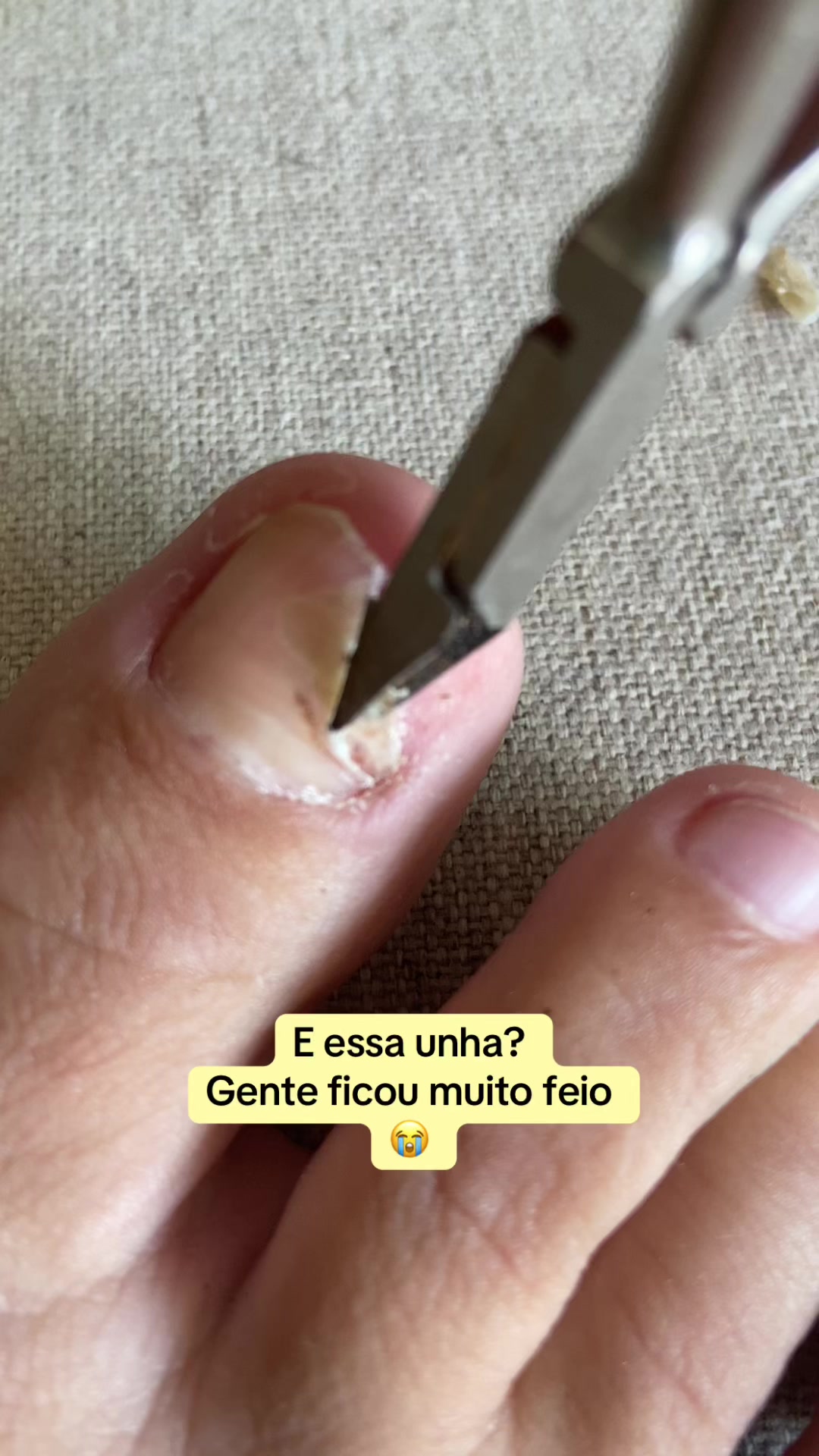 @Carolinaindica