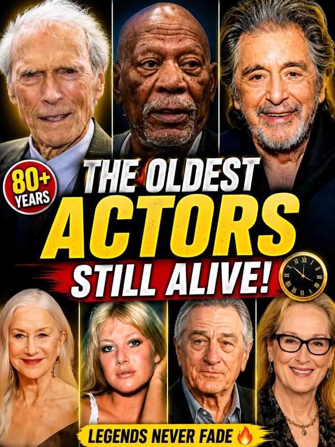 @CelebVibeX 🎬 ⭐