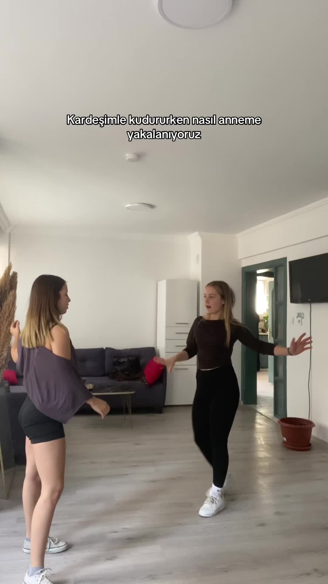 @acelyyasko