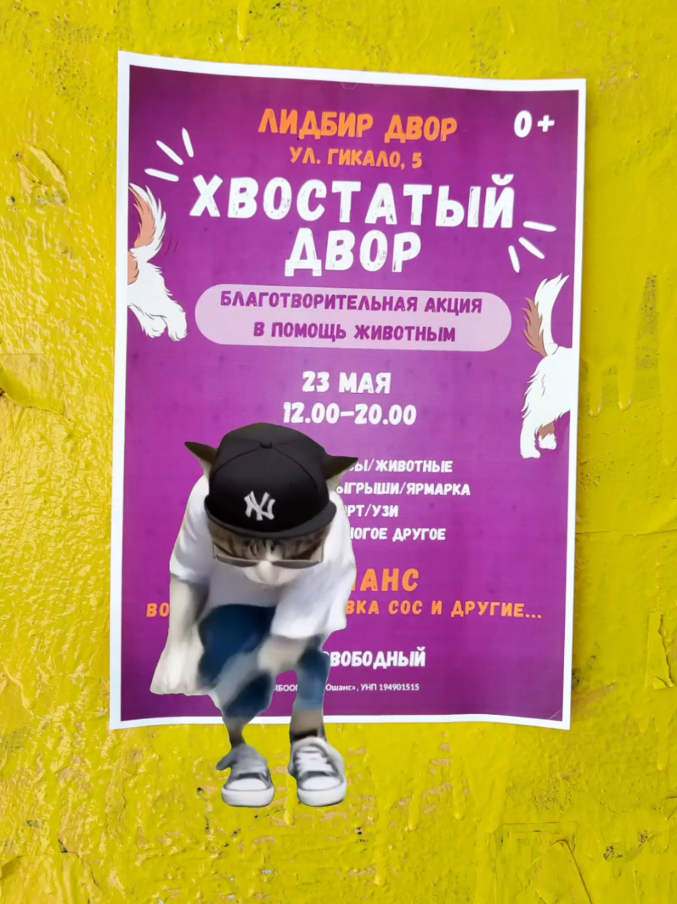 @ЗООшанс