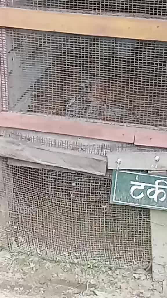 @Ashok Thakur