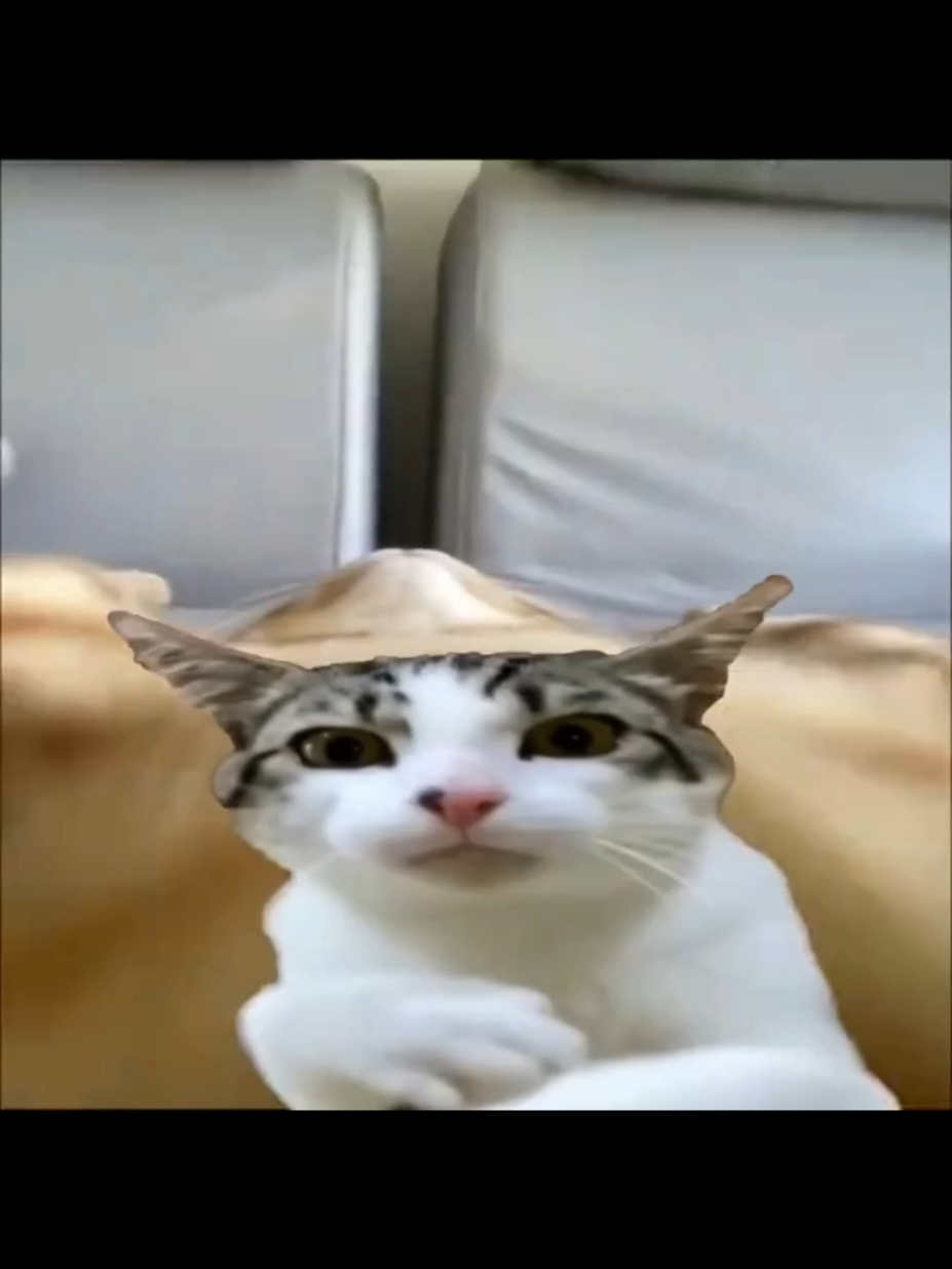 @ใครวะ?