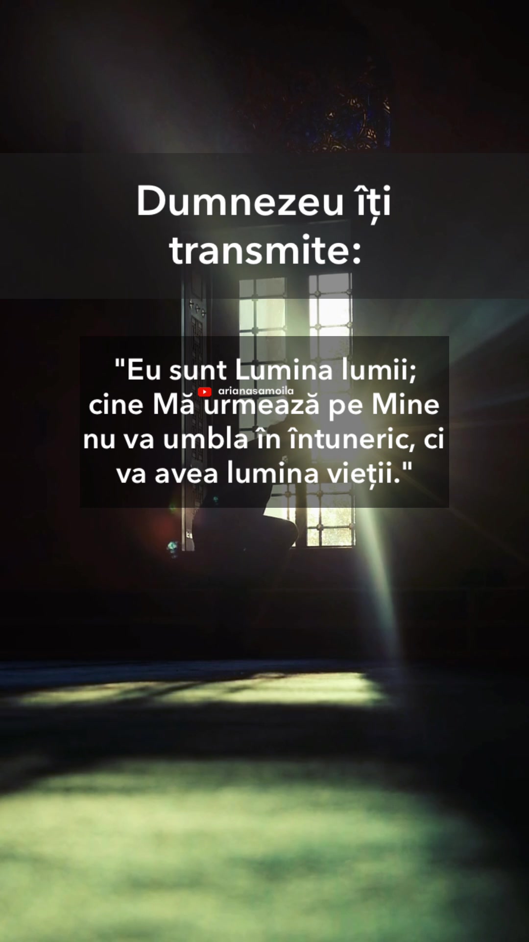 @Ariana Samoilă