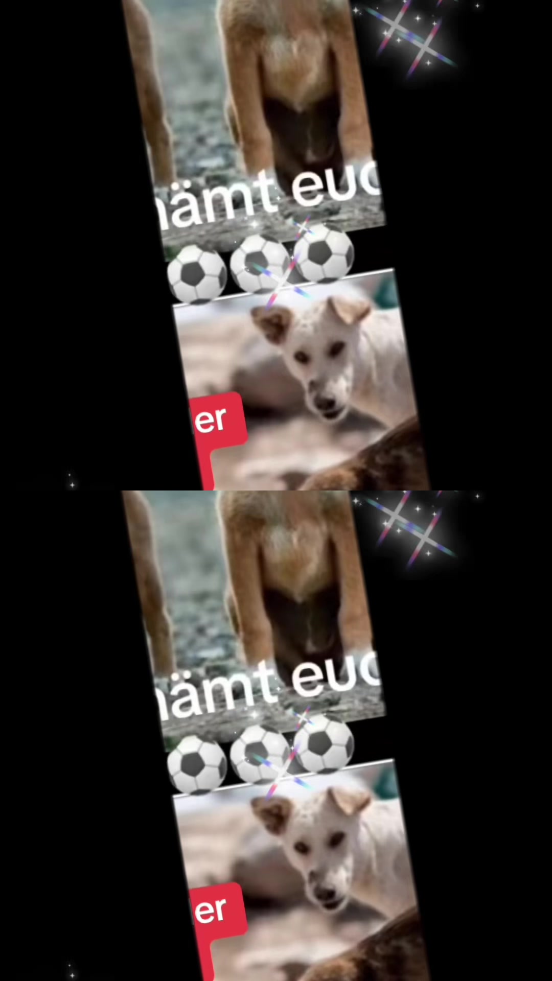 @Lua Team🐈🐕&zwj;🦺L&ouml;wenherz❤️🦁