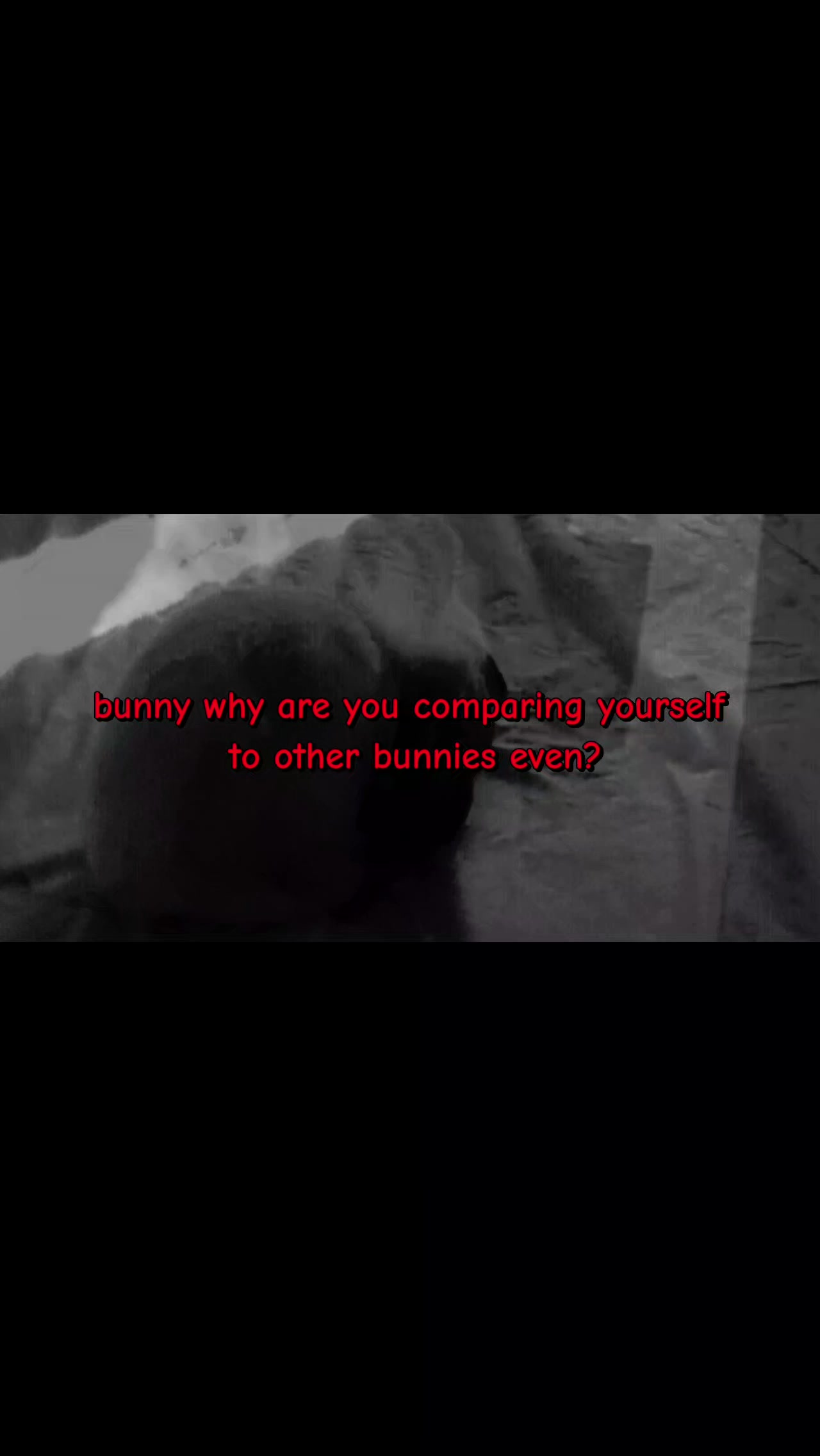 @🪽𝓑𝓾𝓷𝓷𝔂݁ ˖Ი𐑼⋆