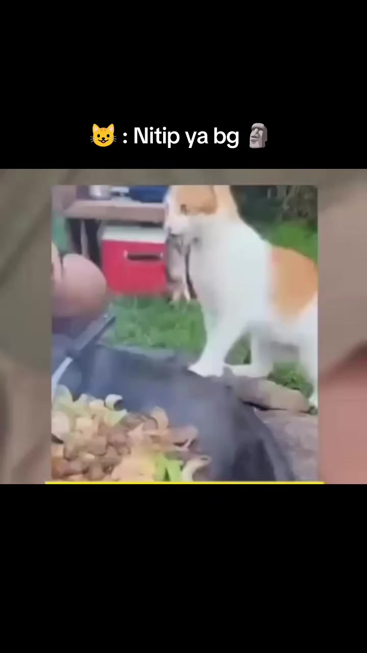 @Kiki