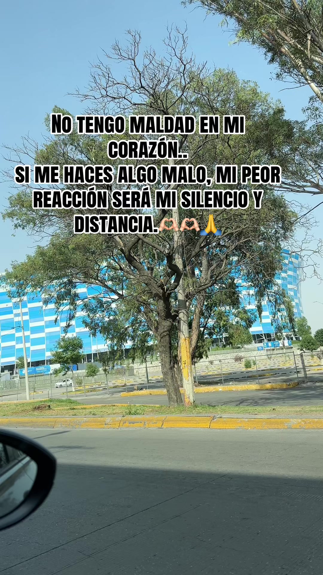 @💗Joanaofficial💞🤗🌹