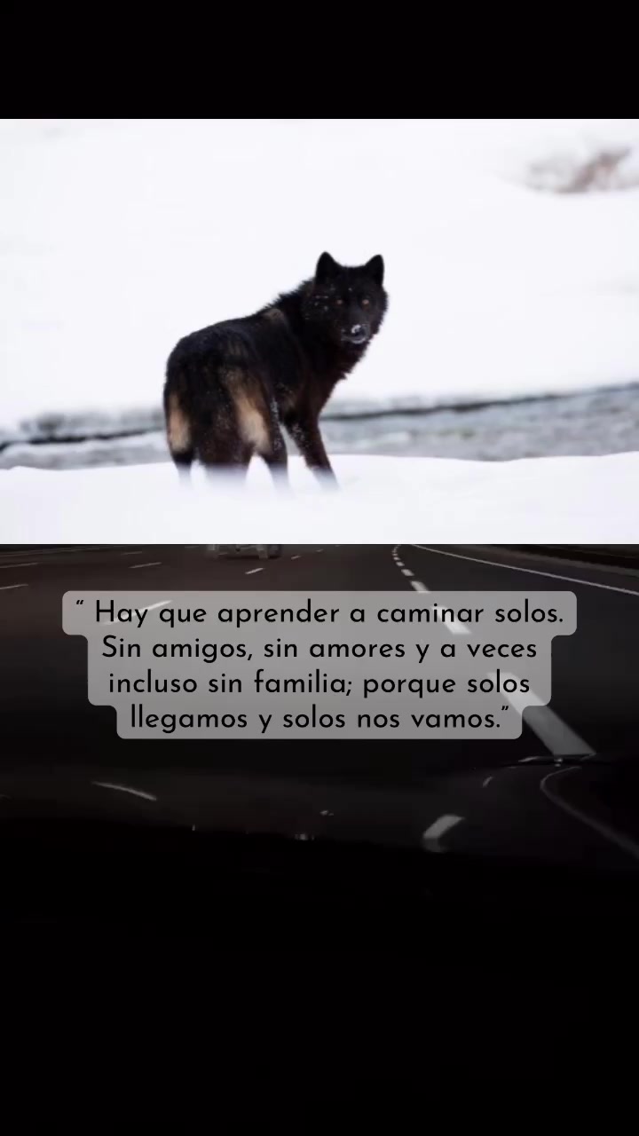 @VERO_✨🤎✨
