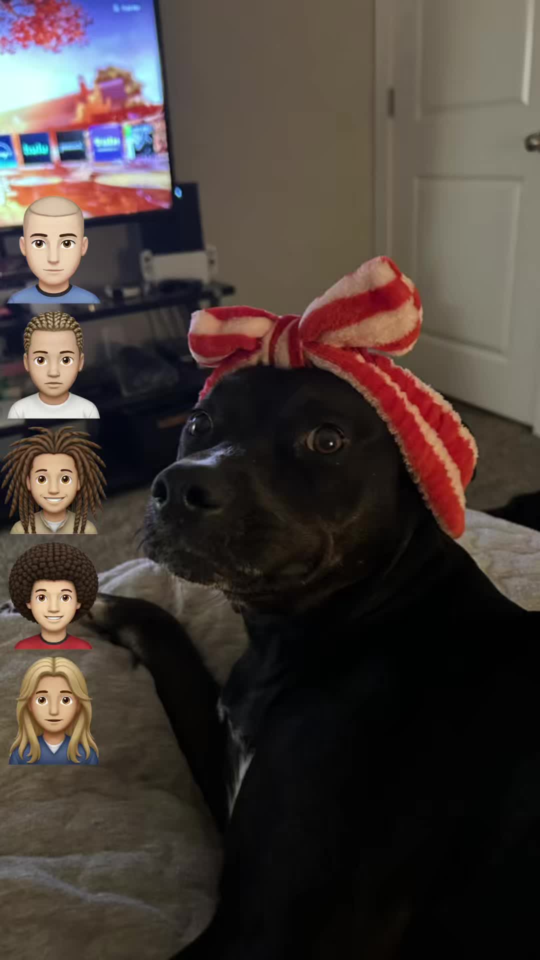@alyy