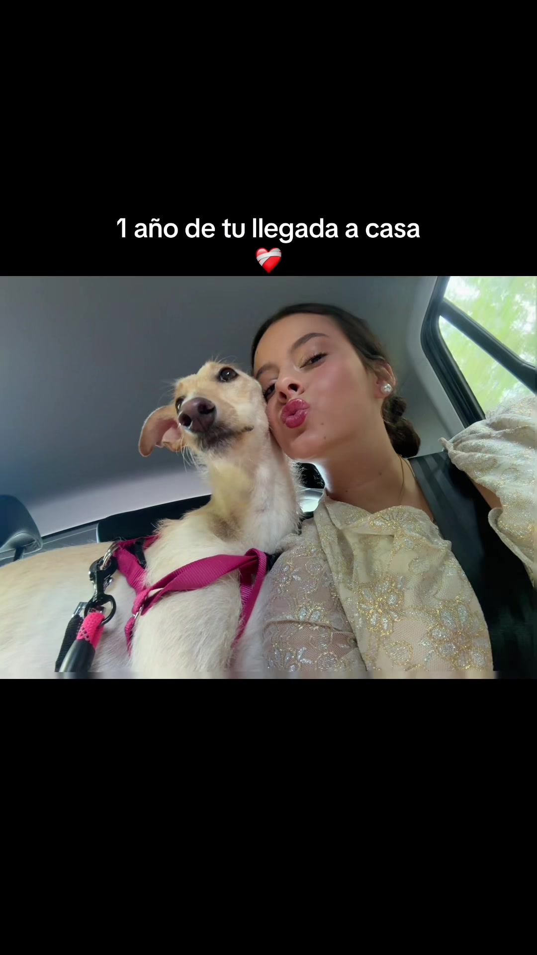 @beni
