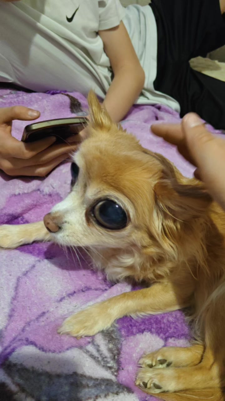 @ˢˡᵃ¹ᶻʸʸ