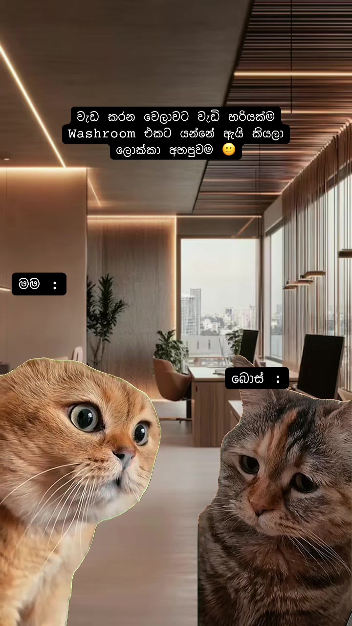 @🇱🇰 චමුවා 🇦🇪