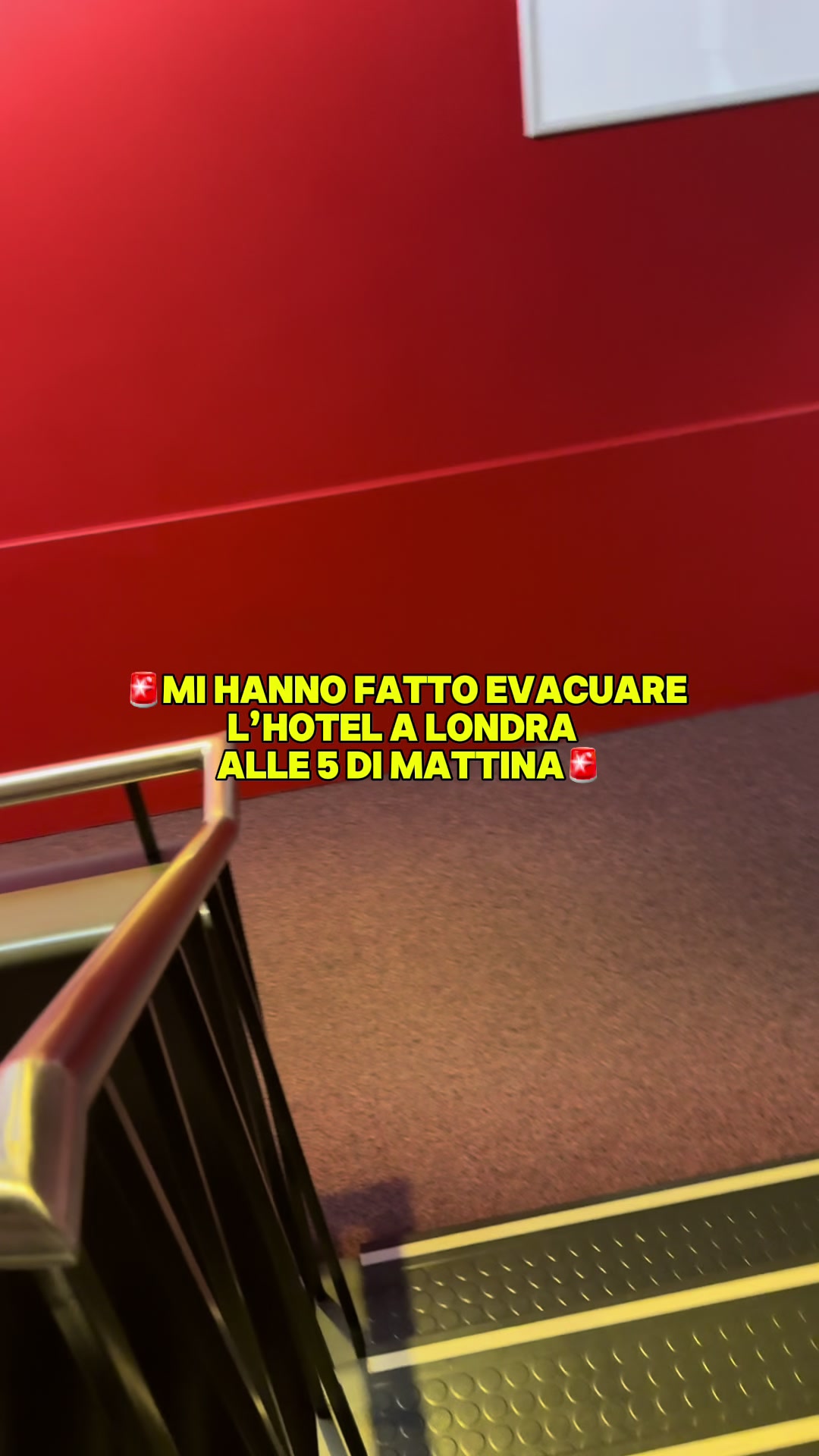 @🚨Damiano Alberti🚨