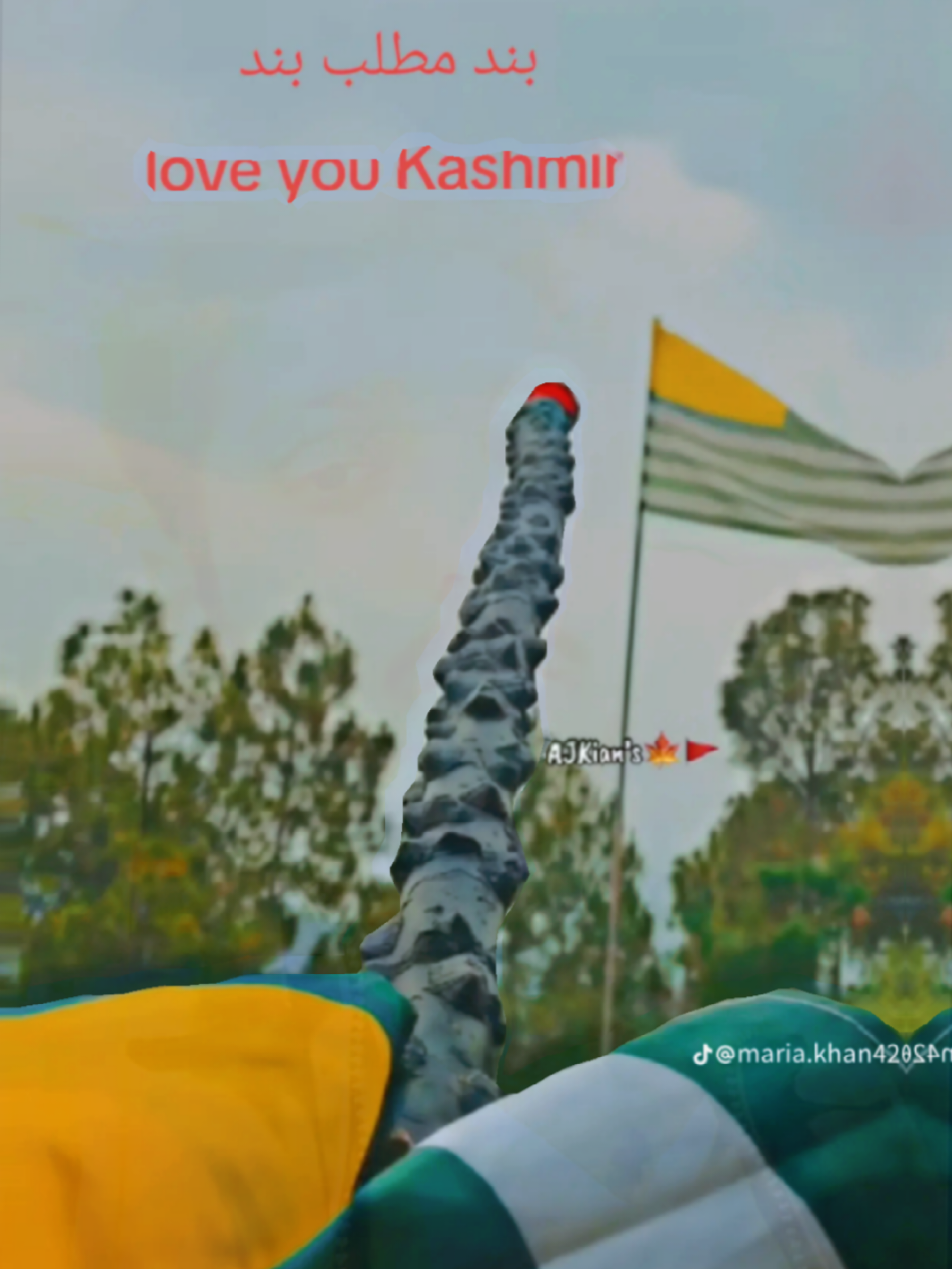 @Warid Vibes