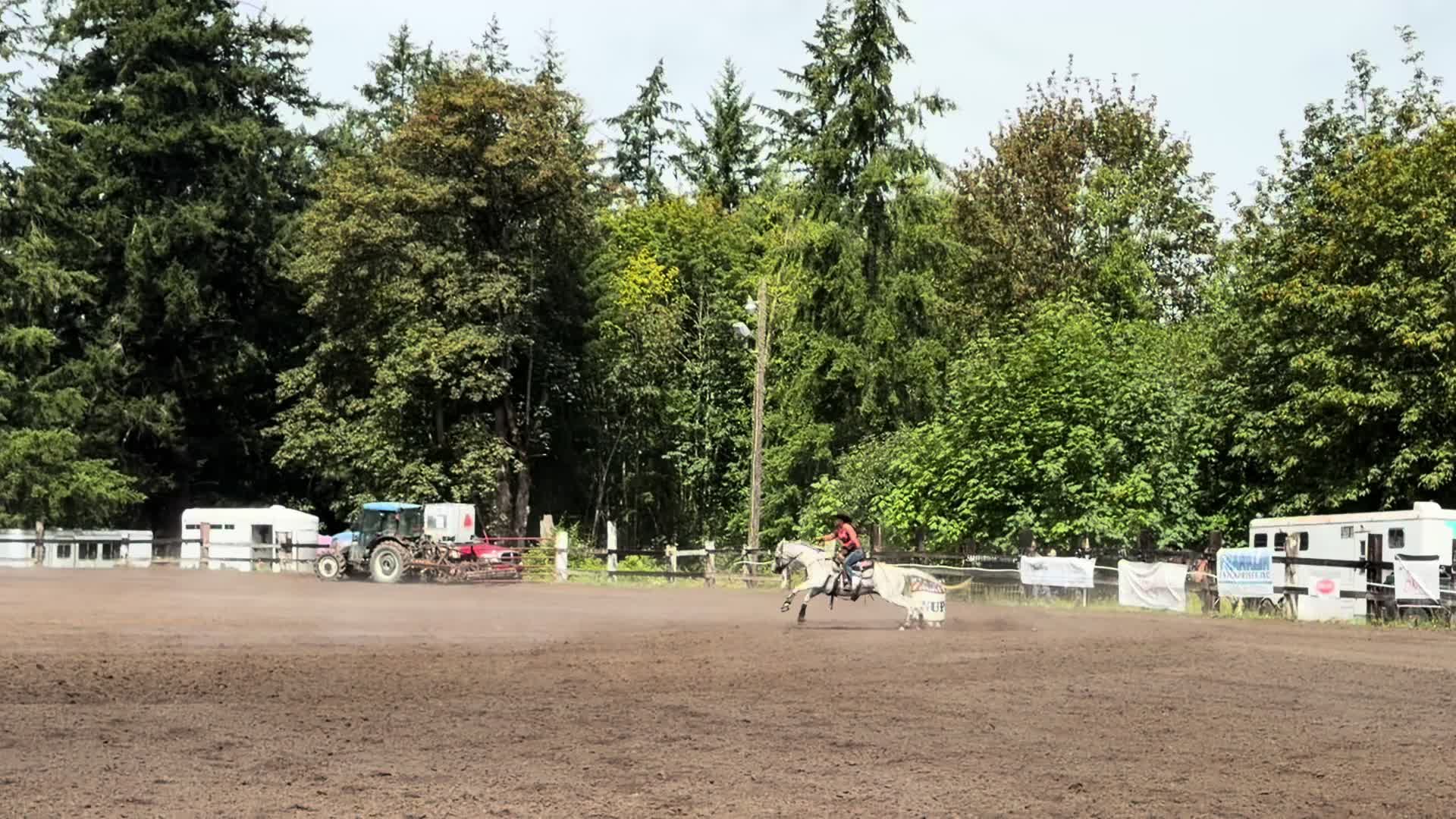 @TF Performance Horses