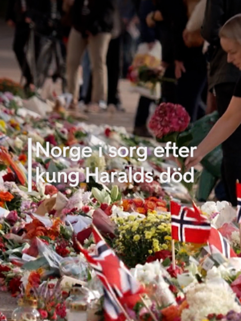 @TV4 Nyheterna