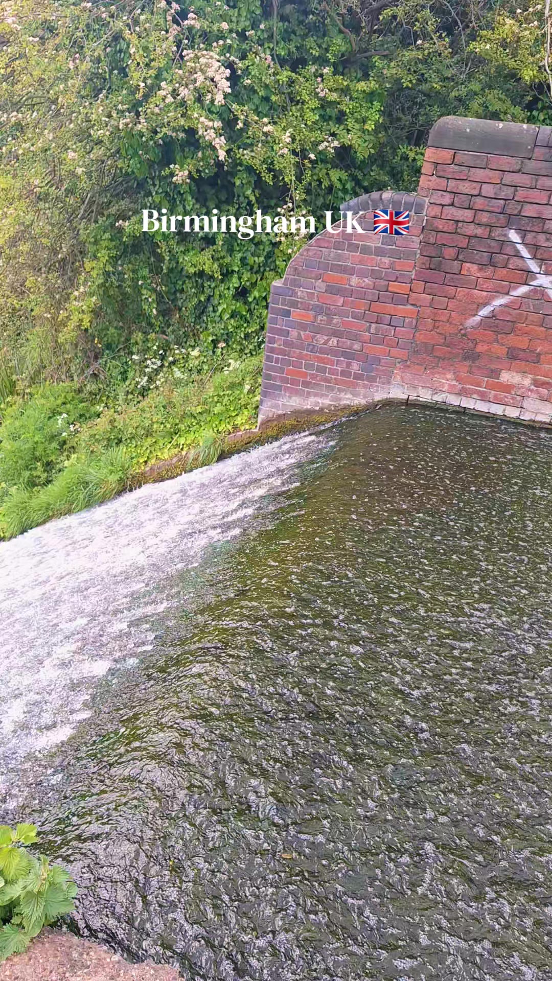 @🌐Birmingham UK 🇬🇧