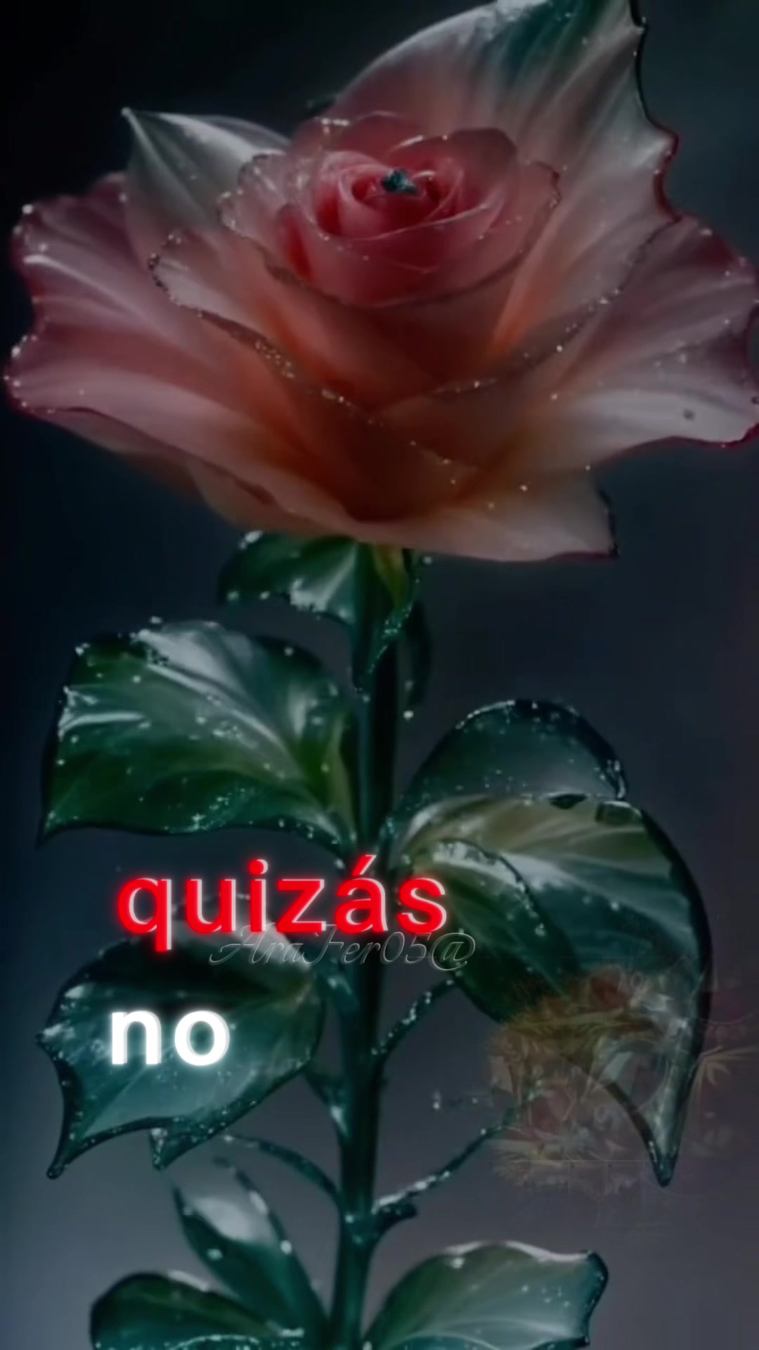 @guadalupearaiza335