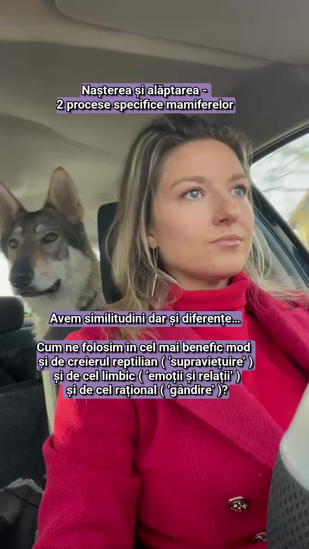 @Adelina Mitrofan