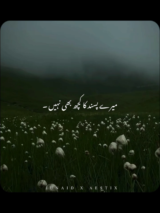 @𝙅𝙐𝙉𝘼𝙄𝘿 𝙓 𝘼𝙀𝙎𝙏𝙄𝙓
