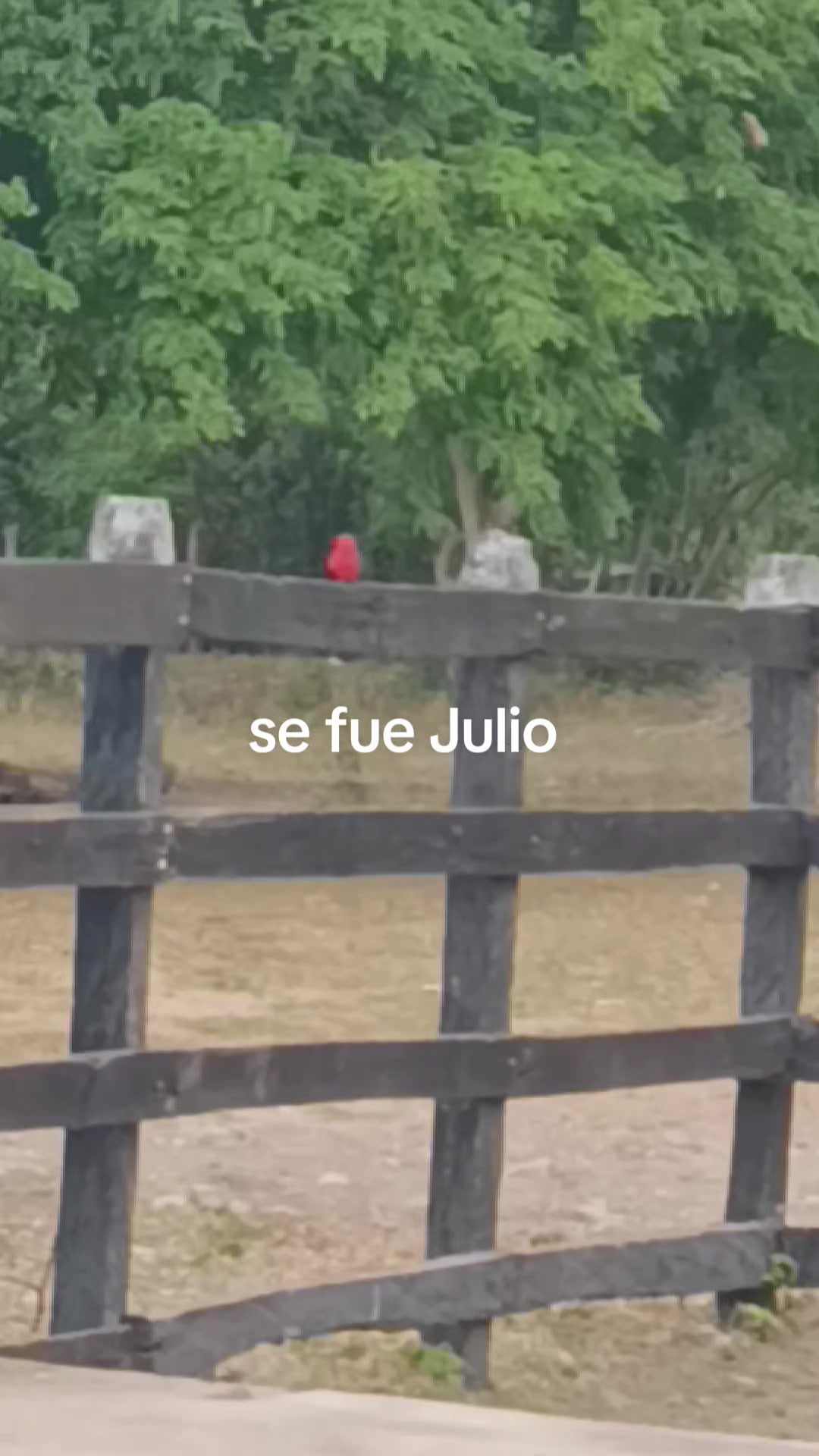 @susy123