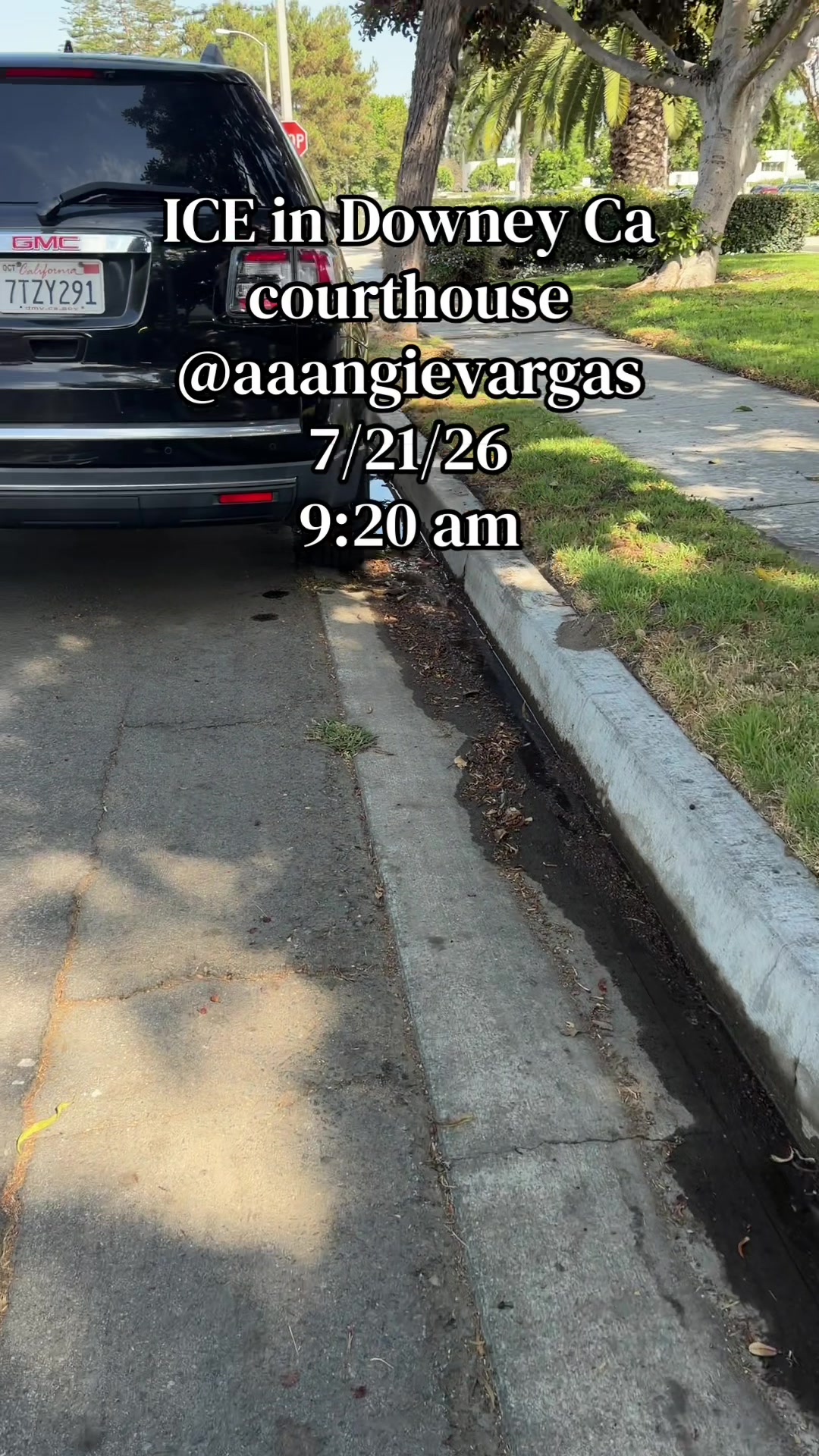 @aaangievargas
