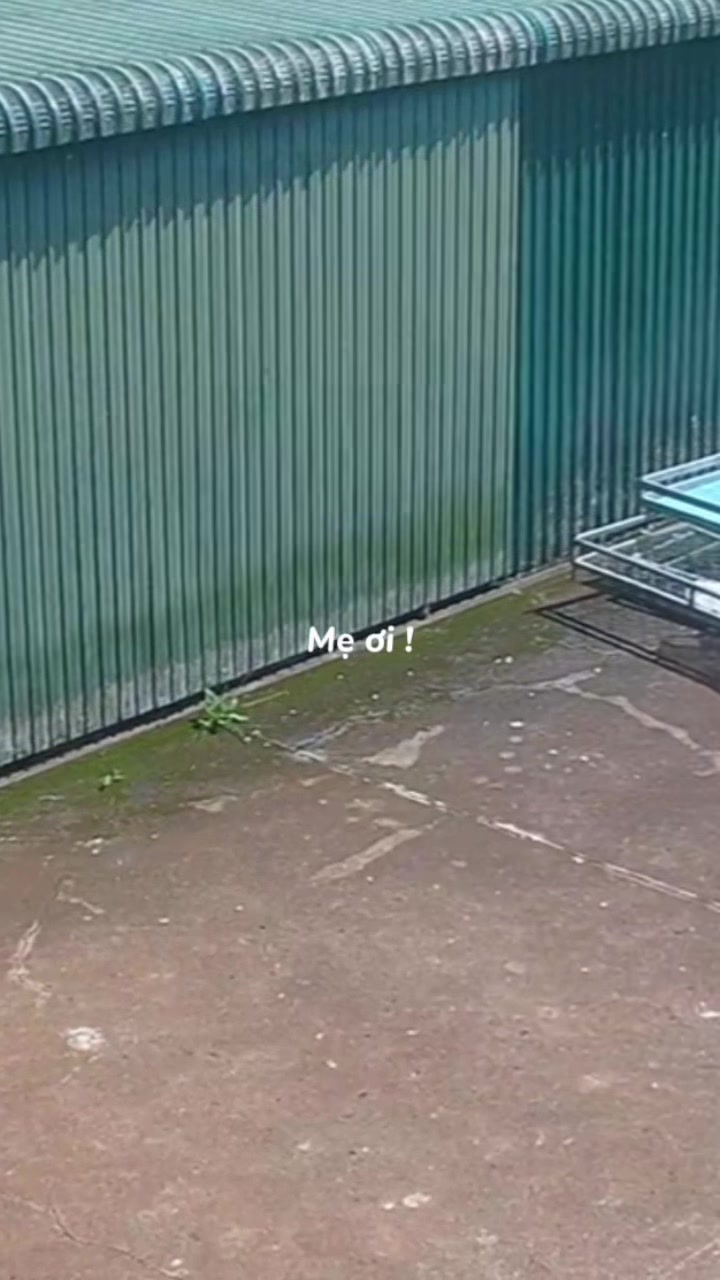 @Vũ Hải