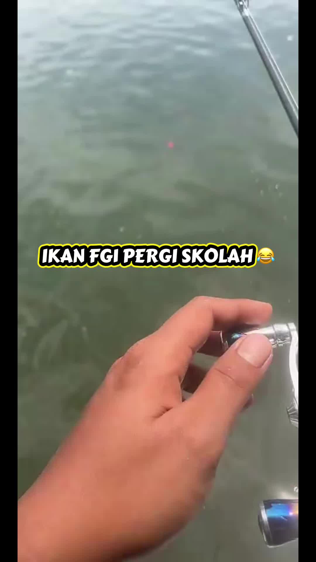 @M Z Reel 🎣