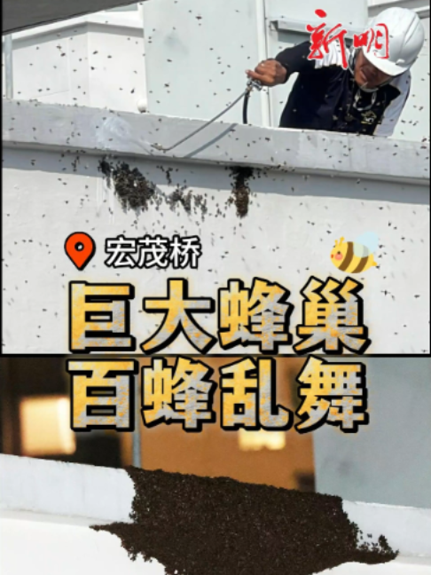 @新明日报