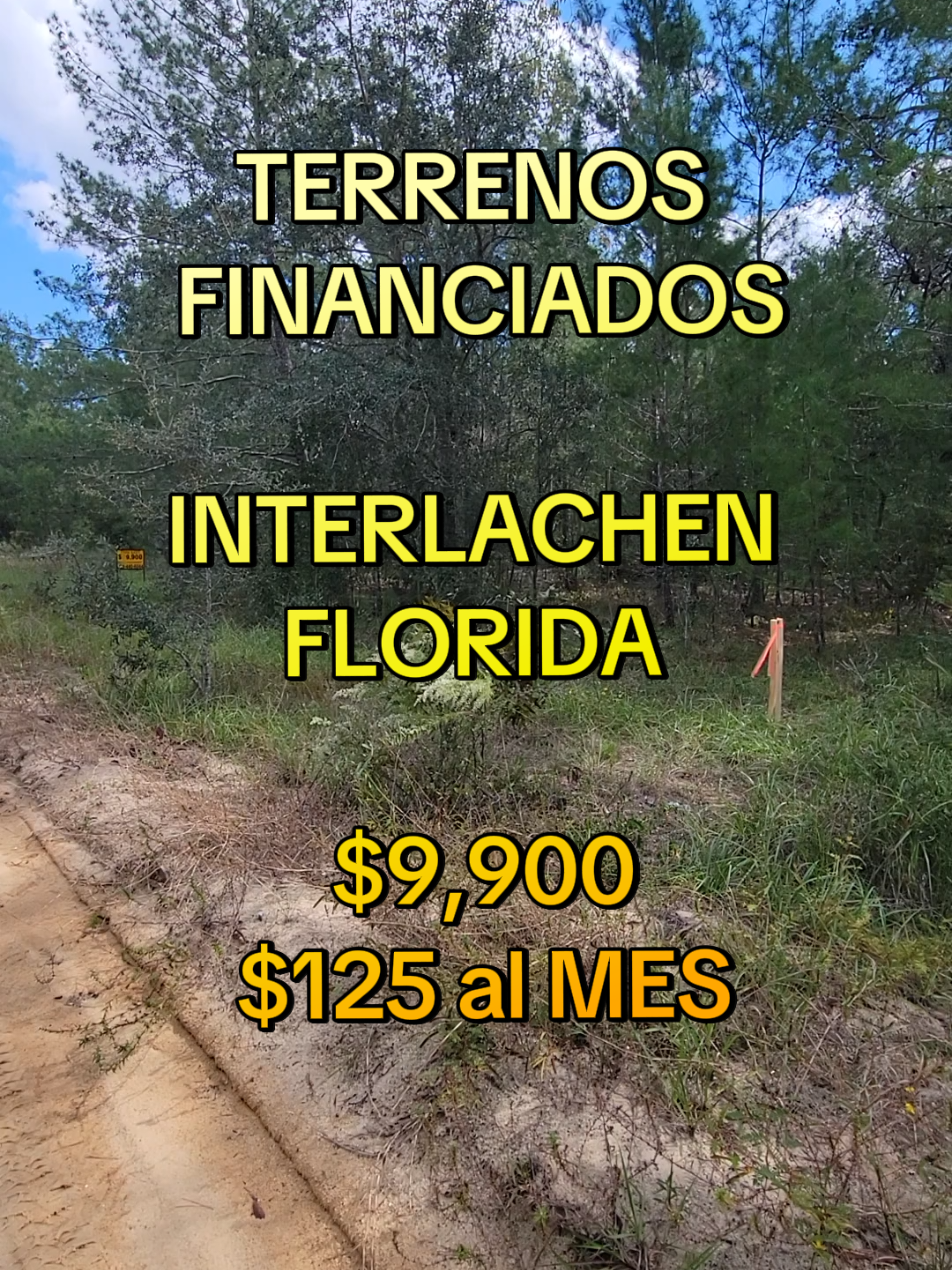 @TerraTrust llc