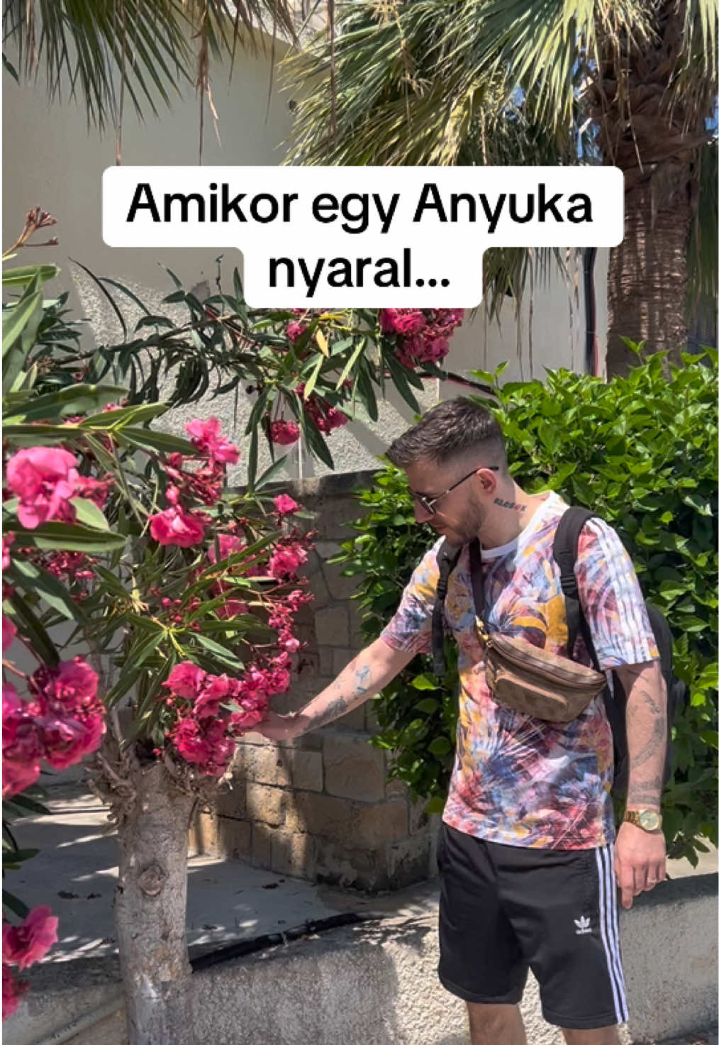 @HEKIII