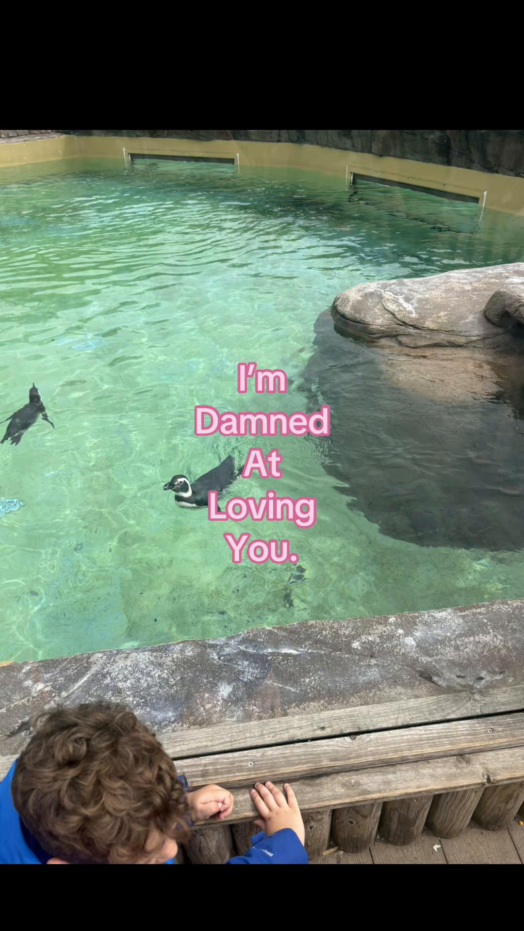 @Ari🐆