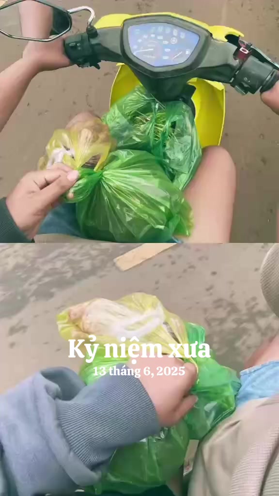 @Thi ch&ocirc;