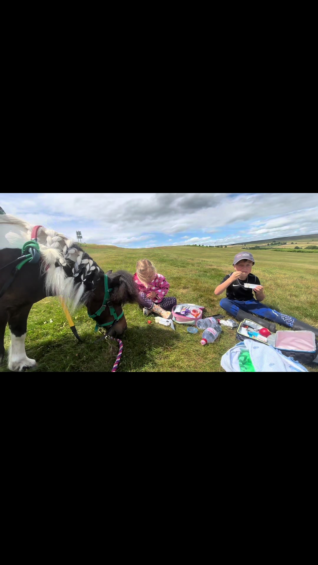 @diamondponyparties