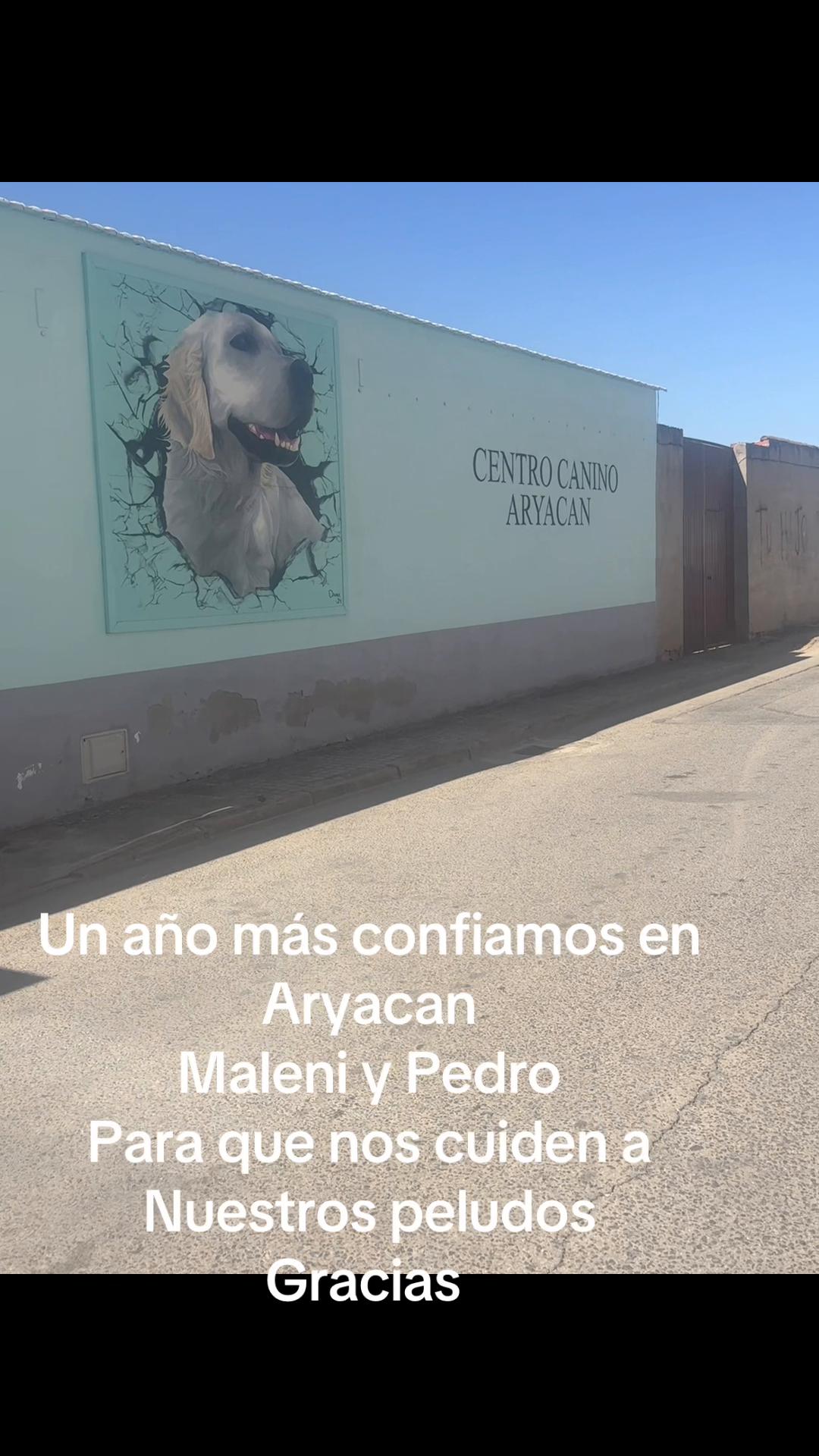 @PanDOGuitos 🐶