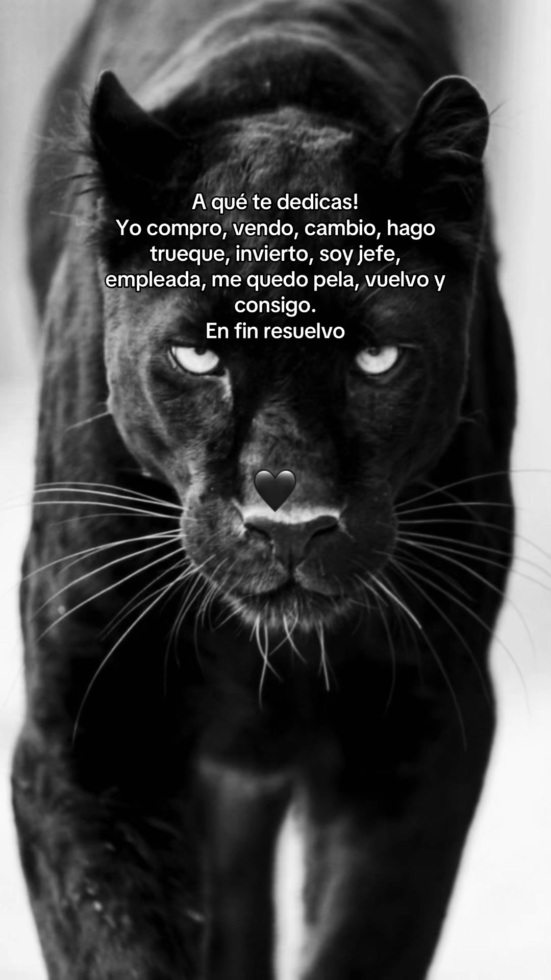 @Estela O'higgins